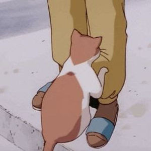 Meet your Posher, Yeong jae